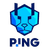 PING Cheetahs