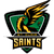 St. Clair Saints Varsity