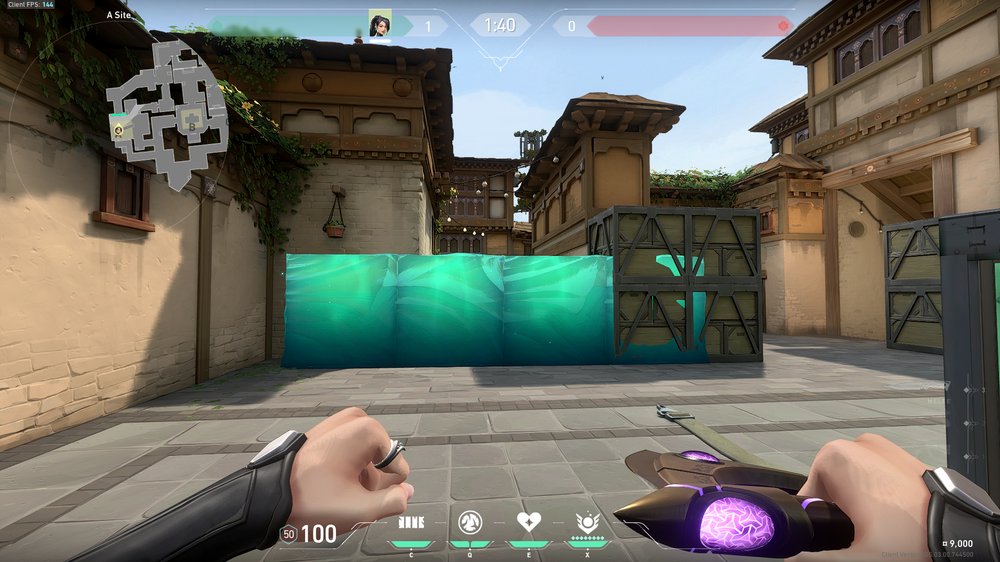 The Best Sage Walls on Haven