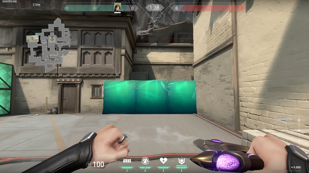 The Best Sage Walls on Haven